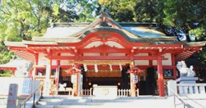 来宮神社ツアーのヴィジュアル