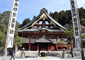 身延山久遠寺しだれ桜と慈雲寺イトザクラツアーのヴィジュアル