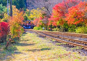 紅葉のわたらせ渓谷