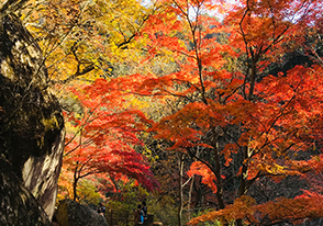 御嶽昇仙峡ハイキング