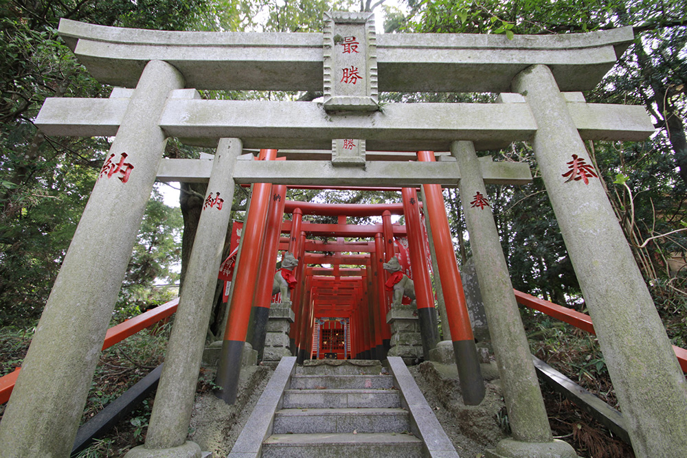 大杉神社