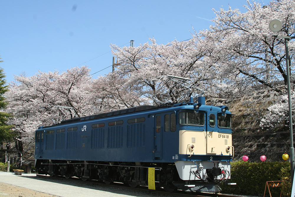 大日影トンネルと甚六桜&クロワッサン詰め放題バスツアーのおすすめポイント詳細