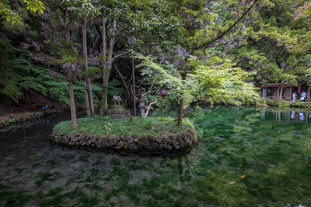 出流原弁天池湧水