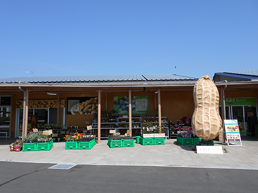 道の駅木更津うまくたの里