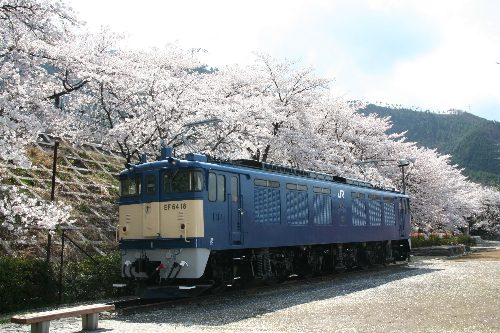 大日影トンネルと甚六桜&クロワッサン詰め放題バスツアーのおすすめポイント詳細