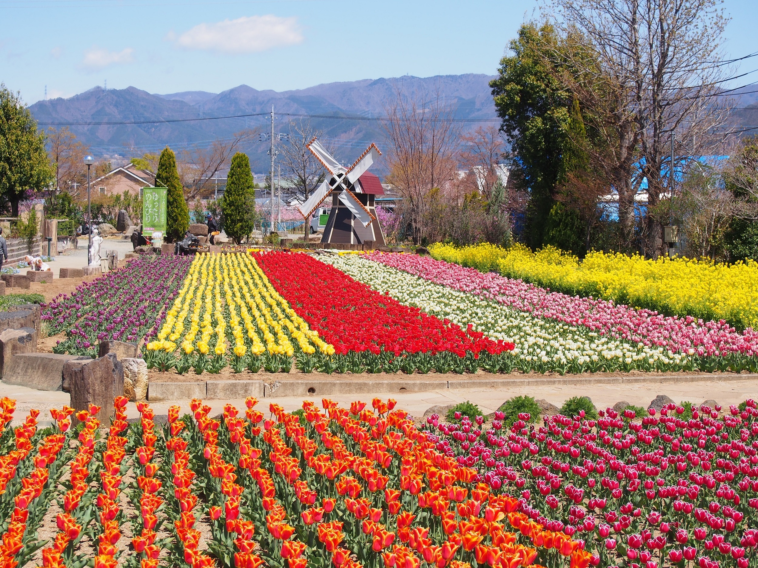 大日影トンネルと甚六桜&クロワッサン詰め放題バスツアー