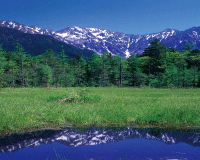 上高地・田代湿原（イメージ）