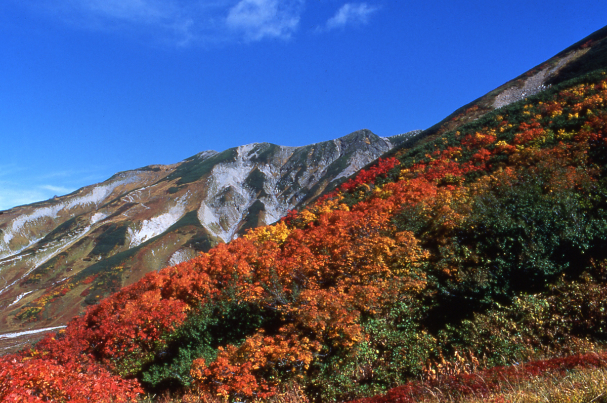 立山黒部アルペンルート