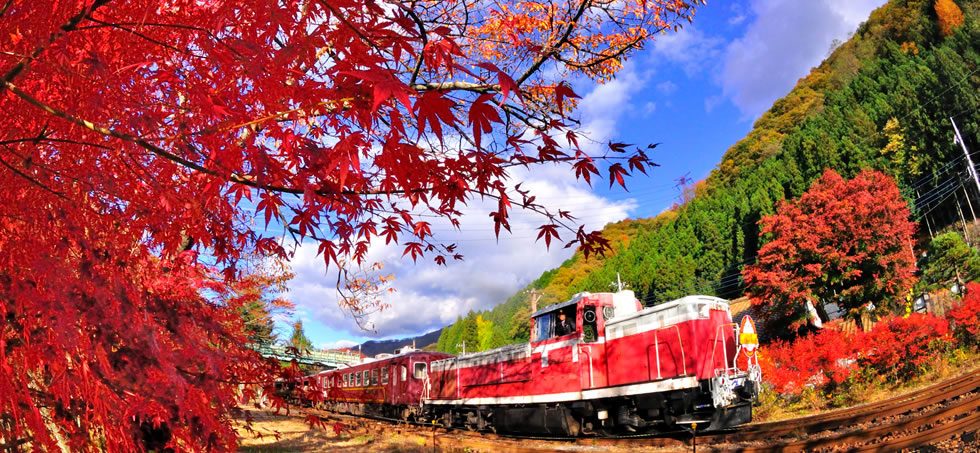 紅葉のわたらせ渓谷鉄道トロッコ電車