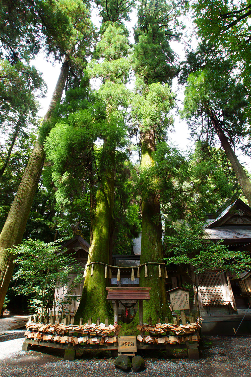 高千穂神社