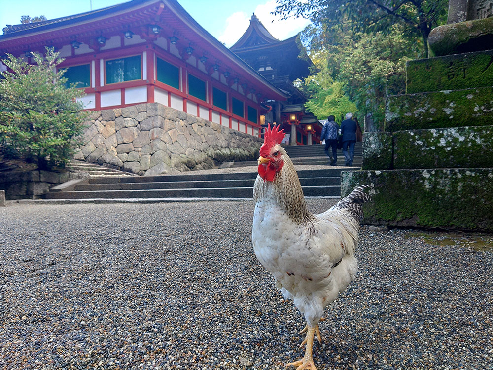 石上神宮