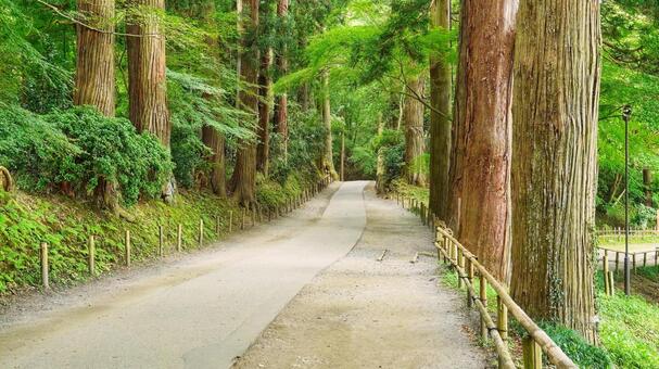 大曲花火ツアー