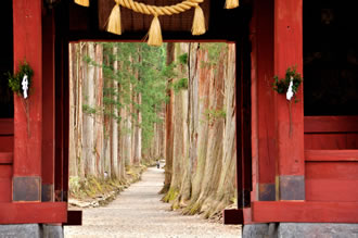 戸隠神社五社巡りと善光寺ツアーのイメージ1