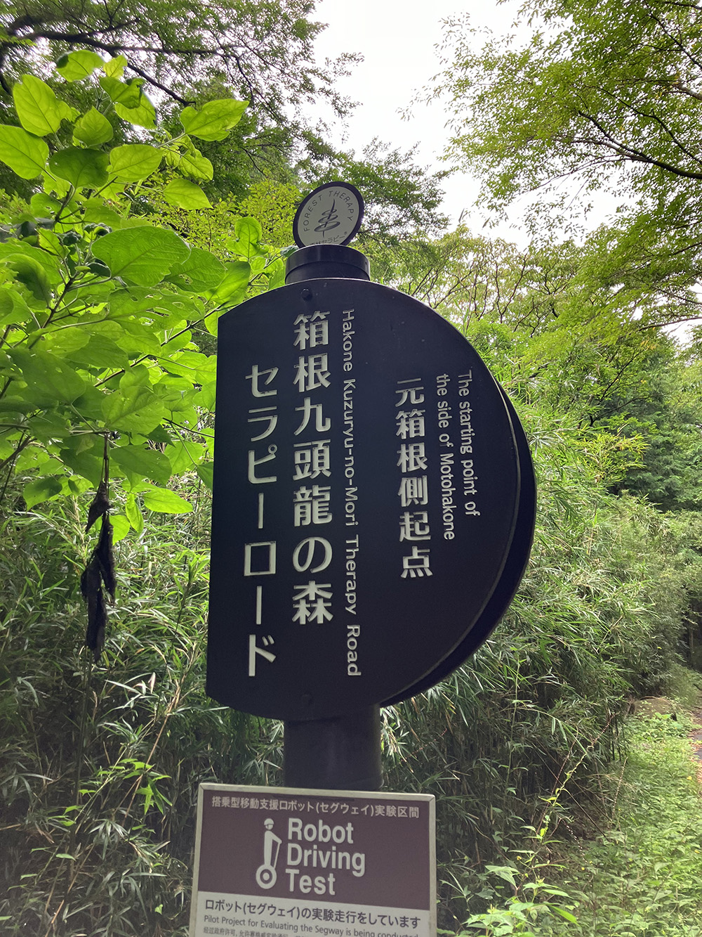 箱根九頭龍の森セラピーロード看板