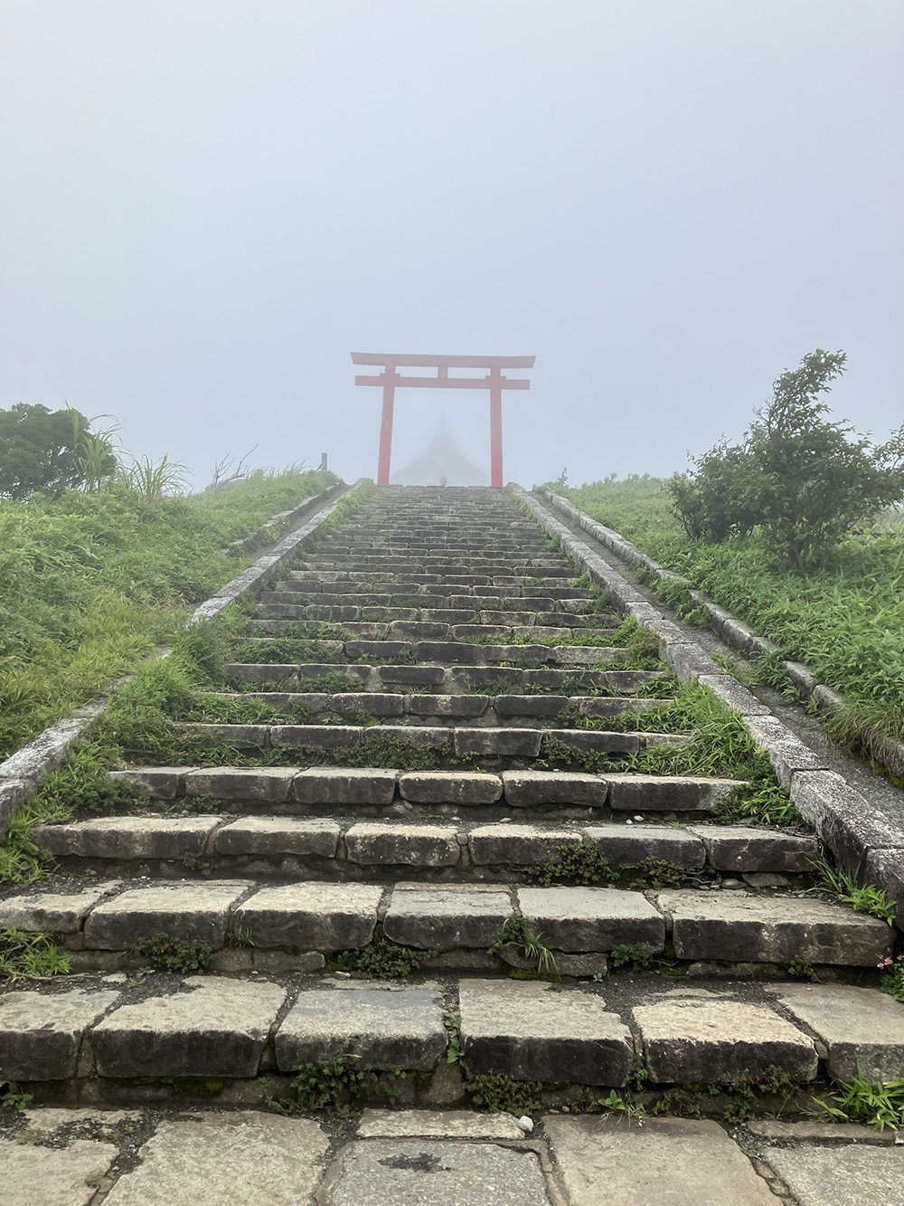 箱根本宮鳥居