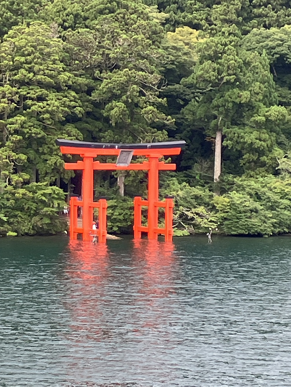 箱根神社鳥居