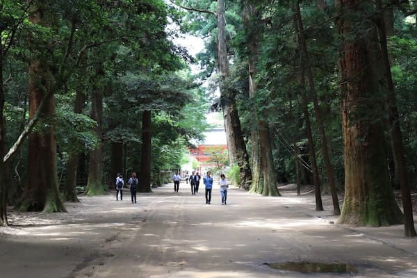 鹿島神宮の境内の森