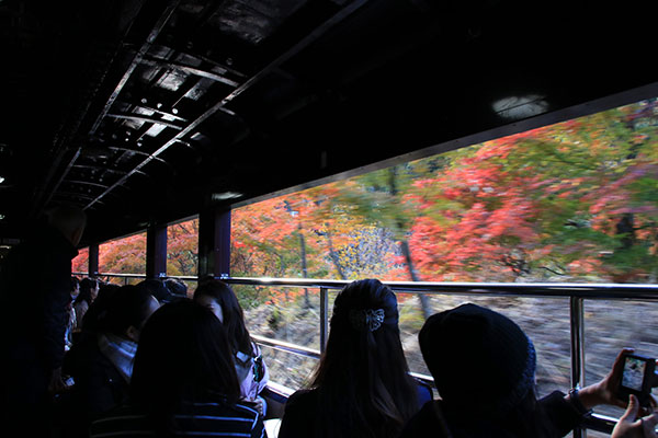 車窓から見える紅葉と間近に見える渓谷の清流がとても見事でした。