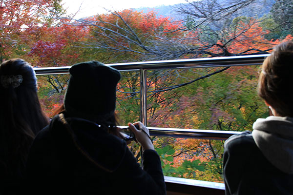 車窓から見える紅葉と間近に見える渓谷の清流がとても見事でした。