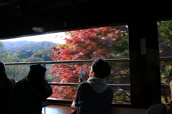 車窓から見える紅葉と間近に見える渓谷の清流がとても見事でした。