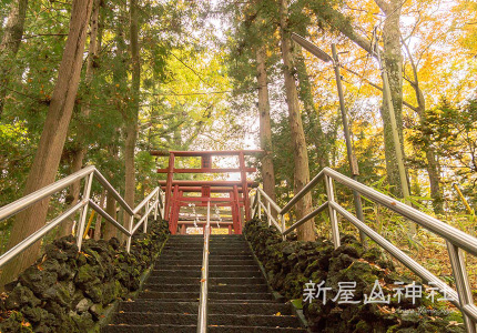 ぶどう寺大善寺と金運の新屋山神社に行くツアー