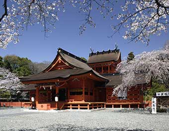 浅間神社五社巡り