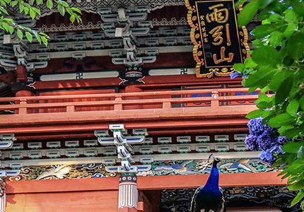 雨引山楽法寺