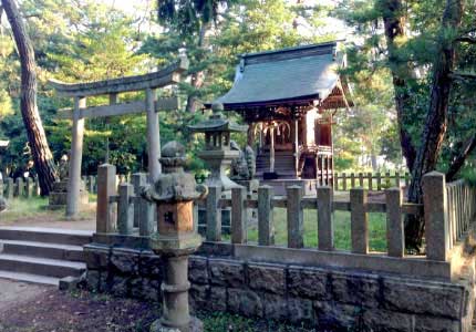 天橋立と京都フリー