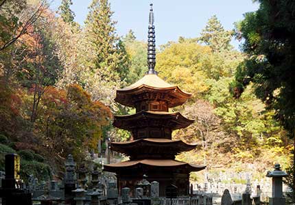 上田城と生島足島神社などの上田市八社巡りバスツアー