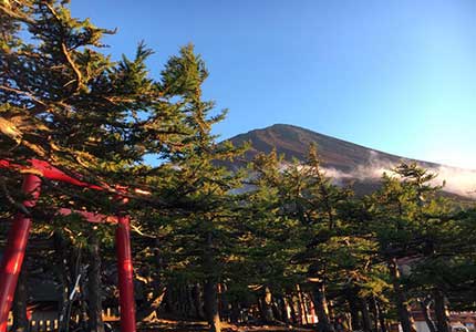 富士下山バスツアー